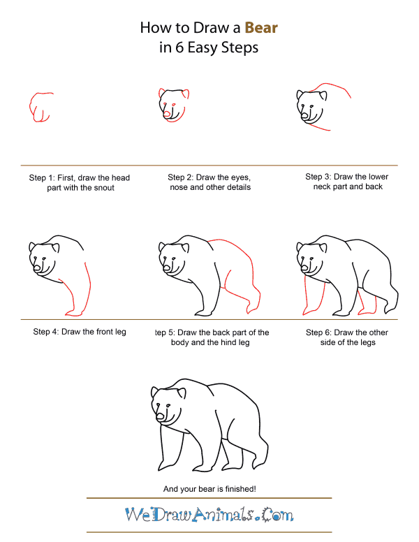 How to Draw A Bear - Quick Step-by-Step Tutorial