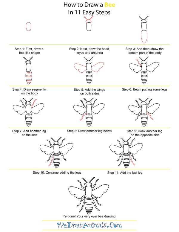 How to Draw A Bee - Quick Step-by-Step Tutorial