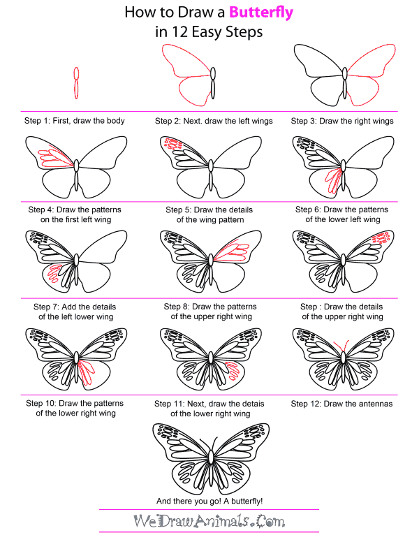 How To Draw A Butterfly Add the final details to the lower wings and upper inner wing and you've completed the how to draw a butterfly lesson. we draw animals