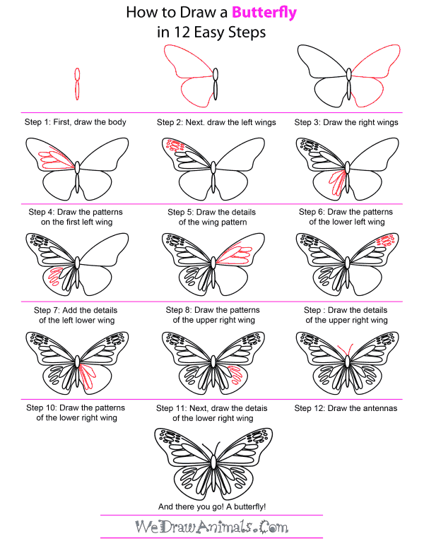 Featured image of post How To Draw A Butterfly Step By Step For Kids