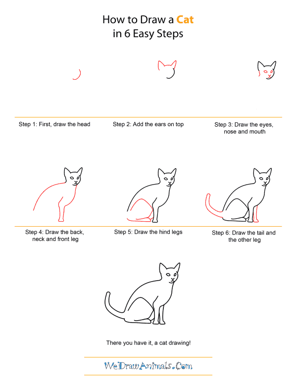 How to Draw A Cat - Quick Step-by-Step Tutorial