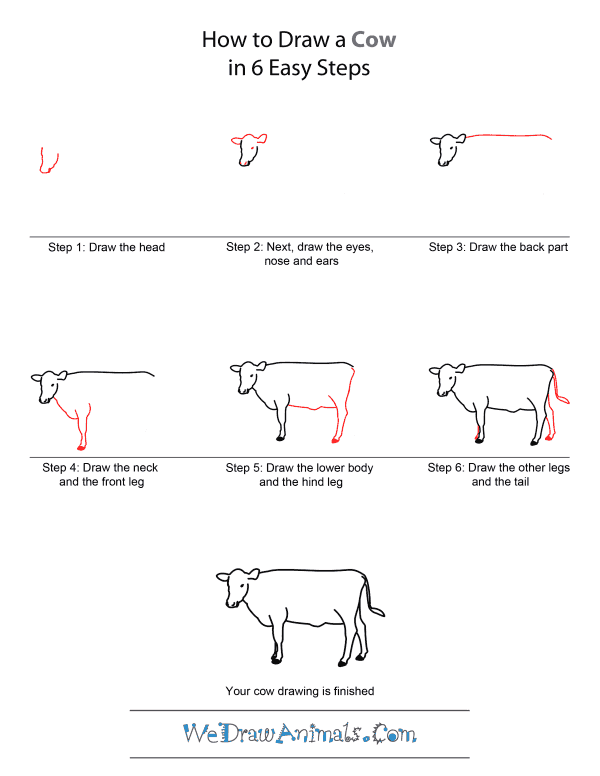 How to Draw A Cow - Quick Step-by-Step Tutorial