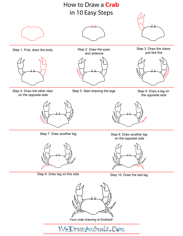 How to Draw A Crab - Quick Step-by-Step Tutorial