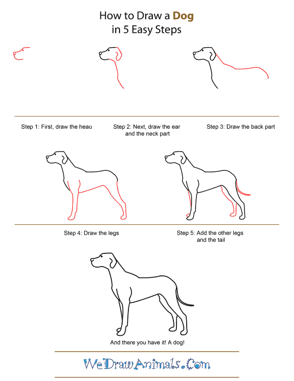How to Draw A Dog - Quick Step-by-Step Tutorial