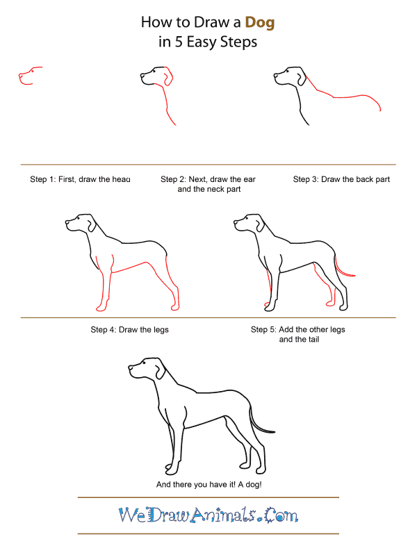 How To Draw A Dog