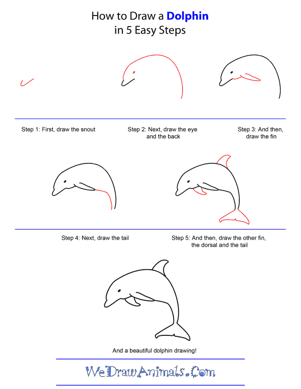 How to Draw A Dolphin - Quick Step-by-Step Tutorial