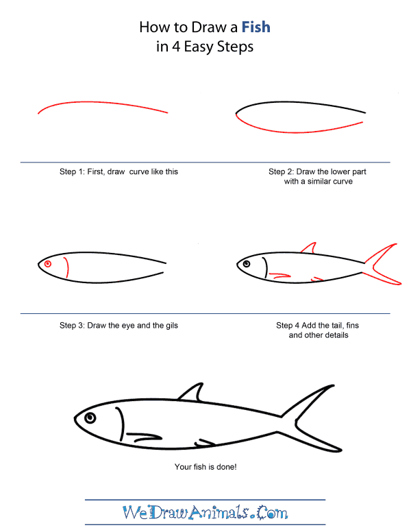 How to Draw A Fish - Quick Step-by-Step Tutorial