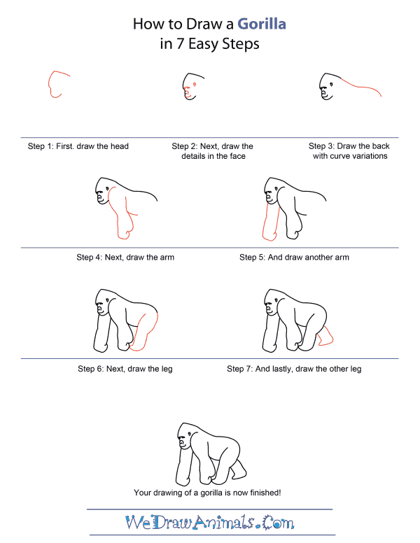 Featured image of post How To Draw A Gorilla Art Hub : First draw a large ellipse.