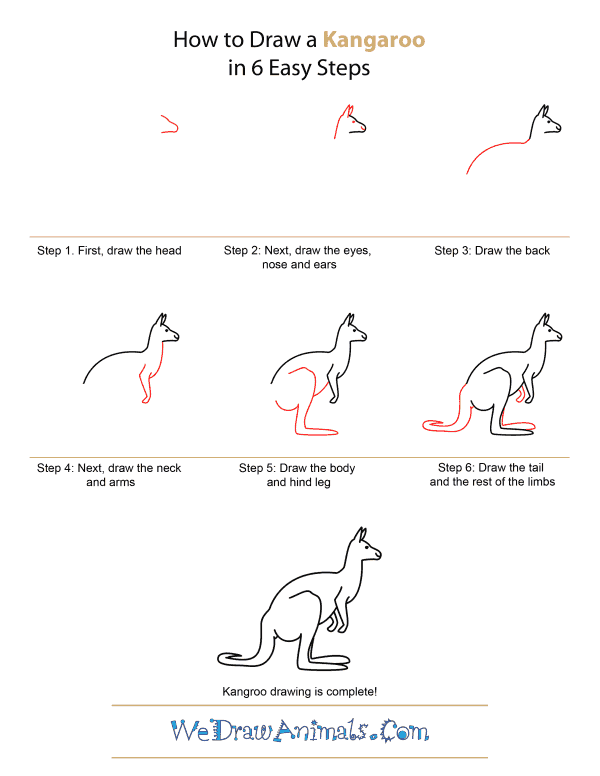 How To Draw A Kangaroo