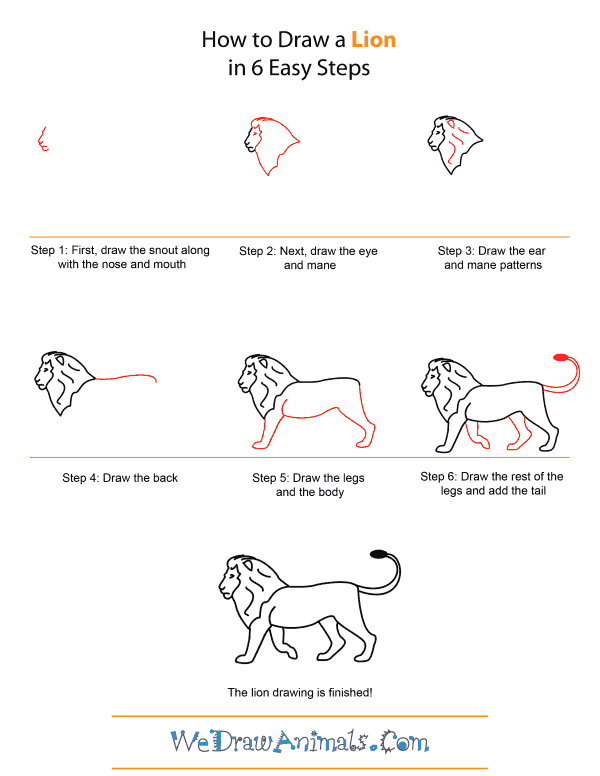 How to Draw A Lion - Quick Step-by-Step Tutorial