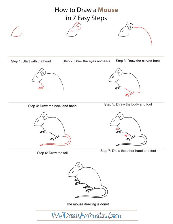 draw computer mouse step step