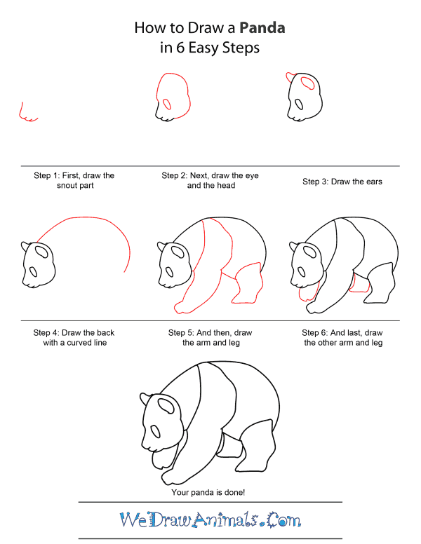 How to Draw A Panda - Quick Step-by-Step Tutorial