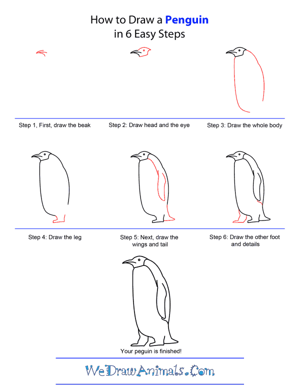 How to Draw A Penguin - Quick Step-by-Step Tutorial