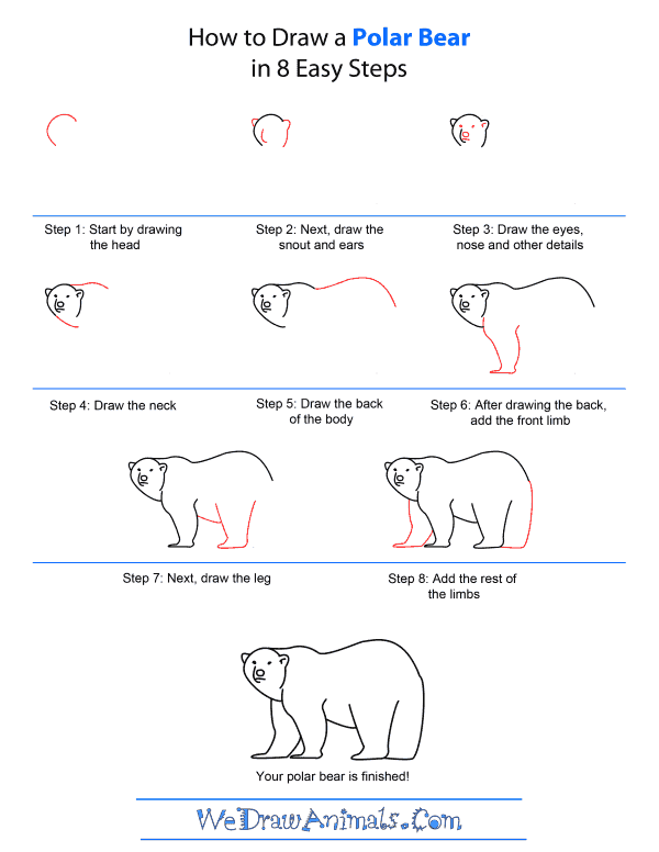 How To Draw A Polar Bear