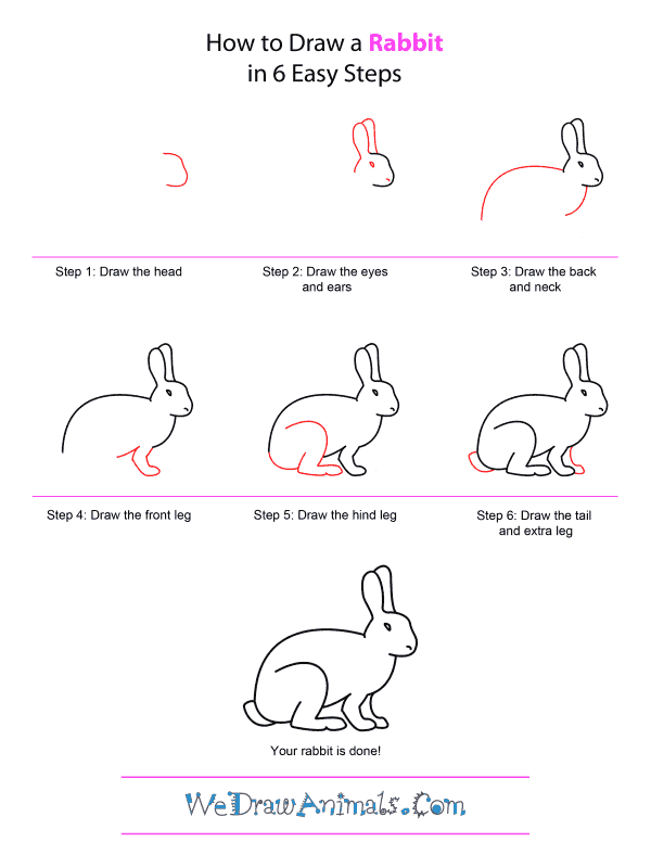 How to Draw A Rabbit - Quick Step-by-Step Tutorial