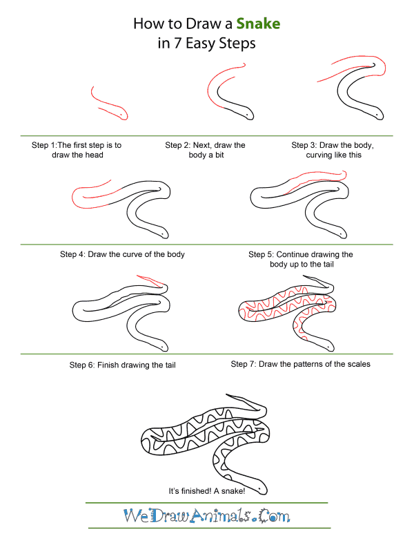 Snake Tutorial