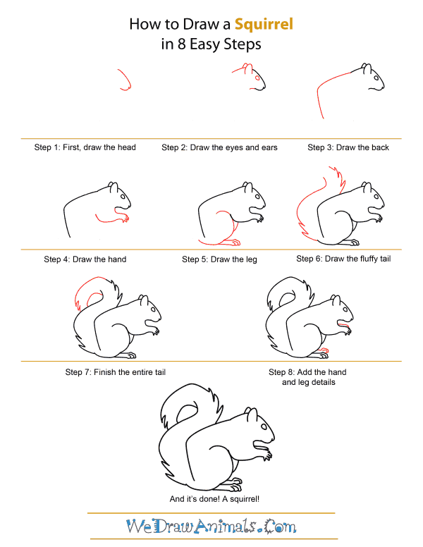 How to Draw A Squirrel - Quick Step-by-Step Tutorial