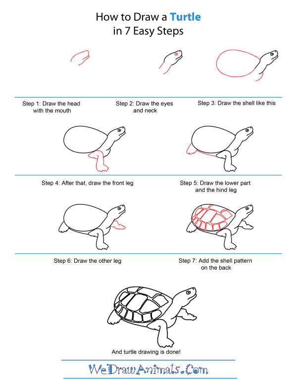 How to Draw A Turtle - Quick Step-by-Step Tutorial