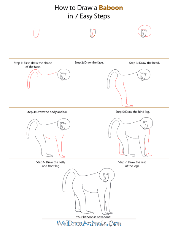 How To Draw A Baboon - Step-by-Step Tutorial