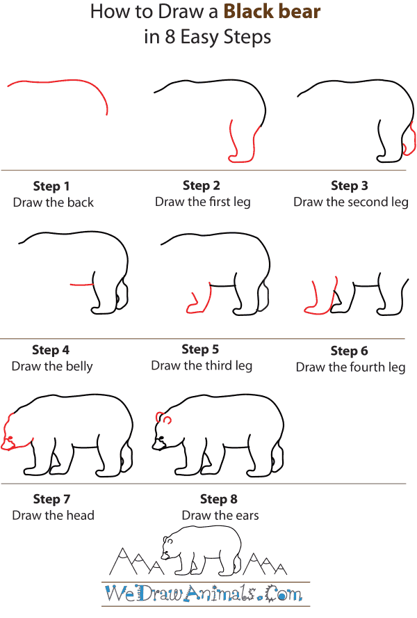 How To Draw A Black-Bear - Step-by-Step Tutorial