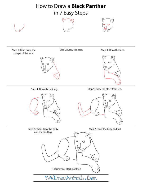 How To Draw A Black Panther - Step-by-Step Tutorial