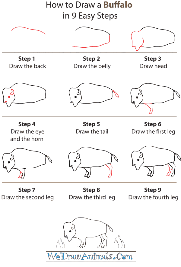How To Draw A Buffalo - Step-by-Step Tutorial