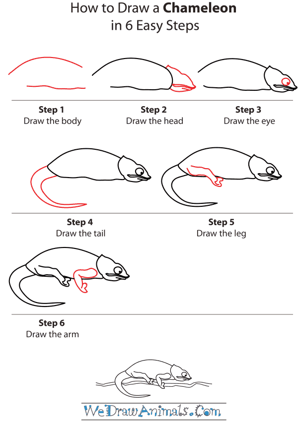 How To Draw A Chameleon - Step-by-Step Tutorial
