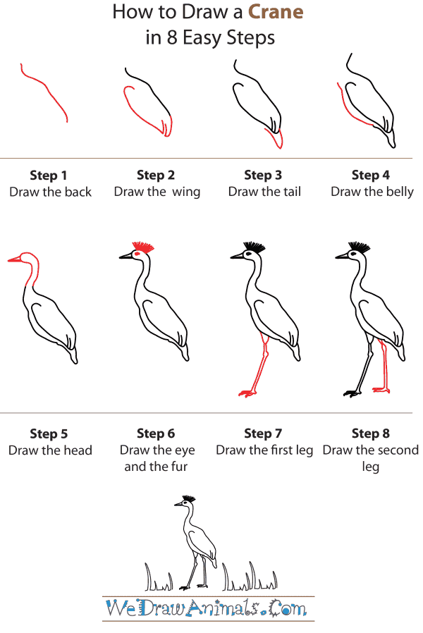 How To Draw A Crane - Step-by-Step Tutorial