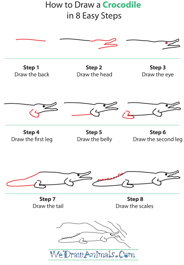 How To Draw A Crocodile - Step-by-Step Tutorial