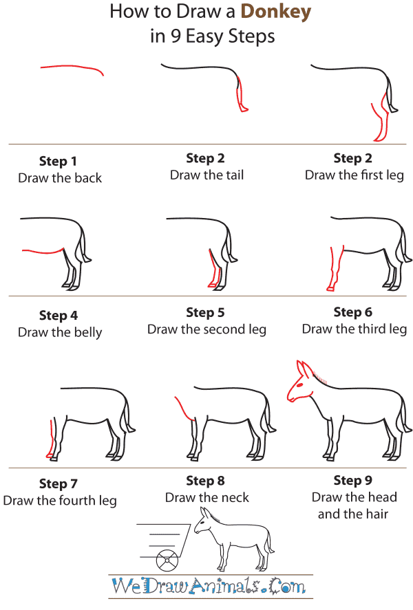 How To Draw A Donkey - Step-by-Step Tutorial