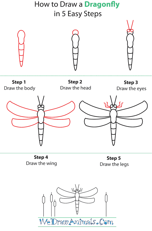 How To Draw A Dragonfly - Step-by-Step Tutorial
