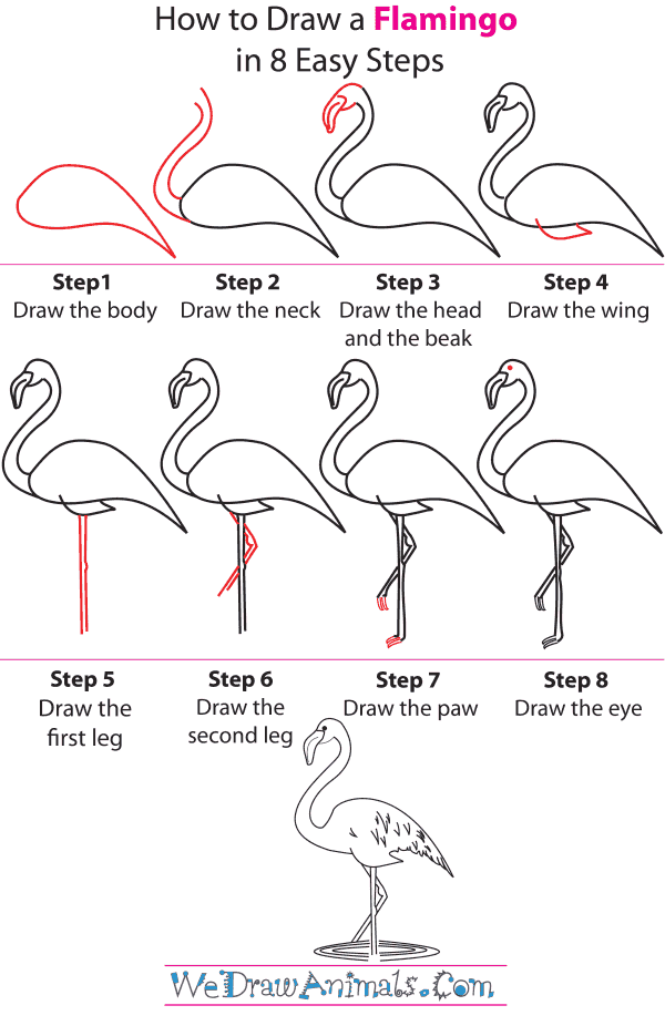 How To Draw A Flamingo - Step-by-Step Tutorial