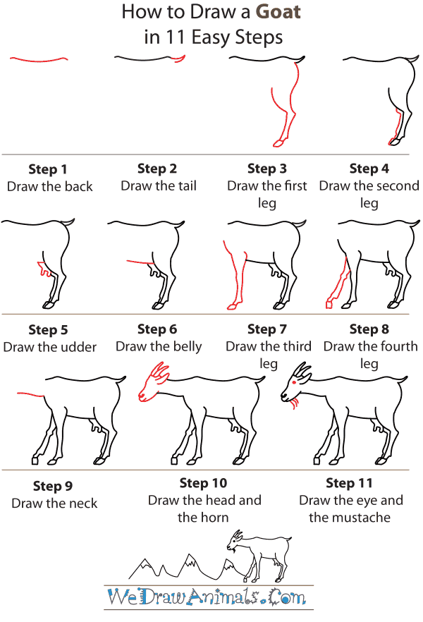 How To Draw A Goat - Step-by-Step Tutorial