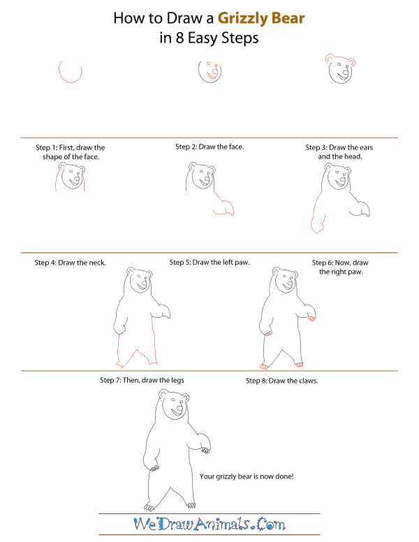 grizzly bear drawing step by step