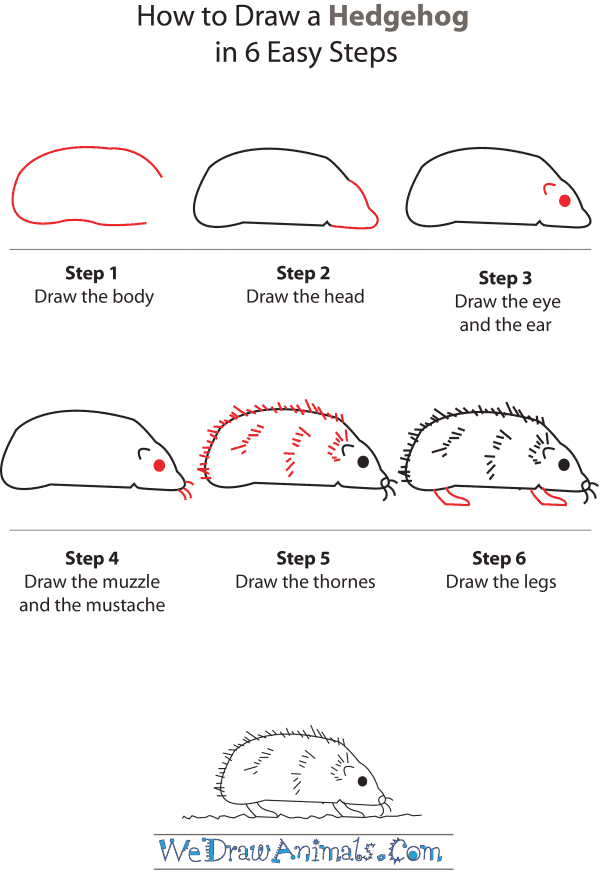 How To Draw A Hedgehog - Step-by-Step Tutorial