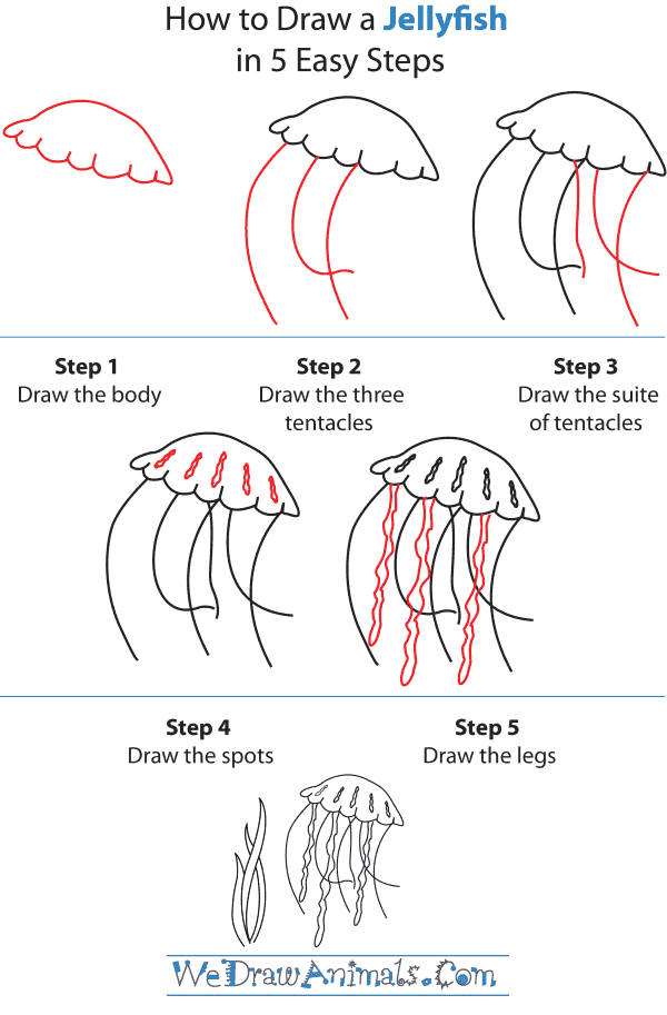 How To Draw A Jellyfish - Step-by-Step Tutorial