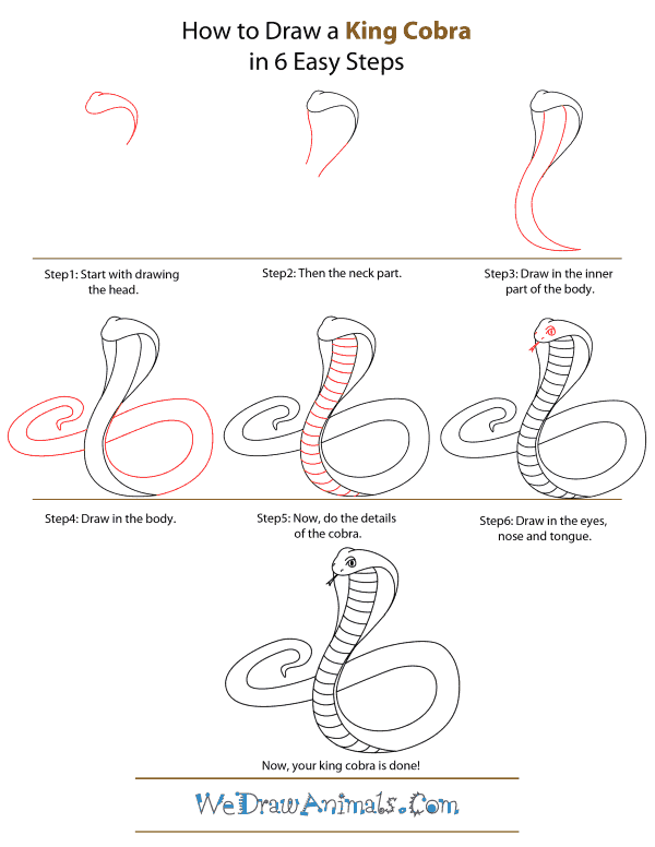 How To Draw A King-Cobra - Step-by-Step Tutorial