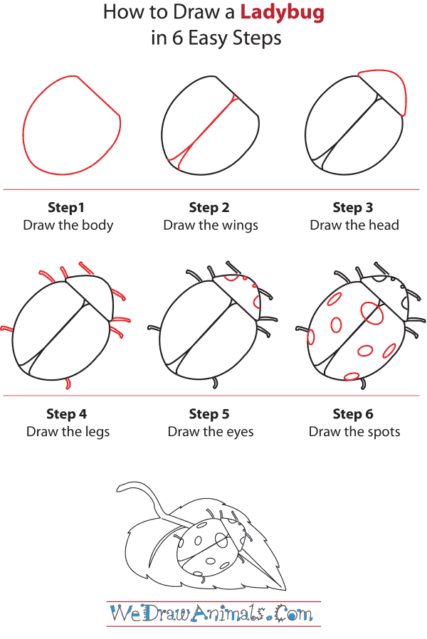 how to draw a ladybug for kids