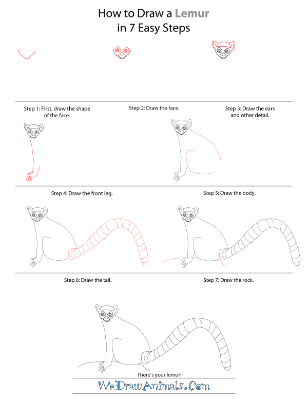 How To Draw A Lemur - Step-by-Step Tutorial