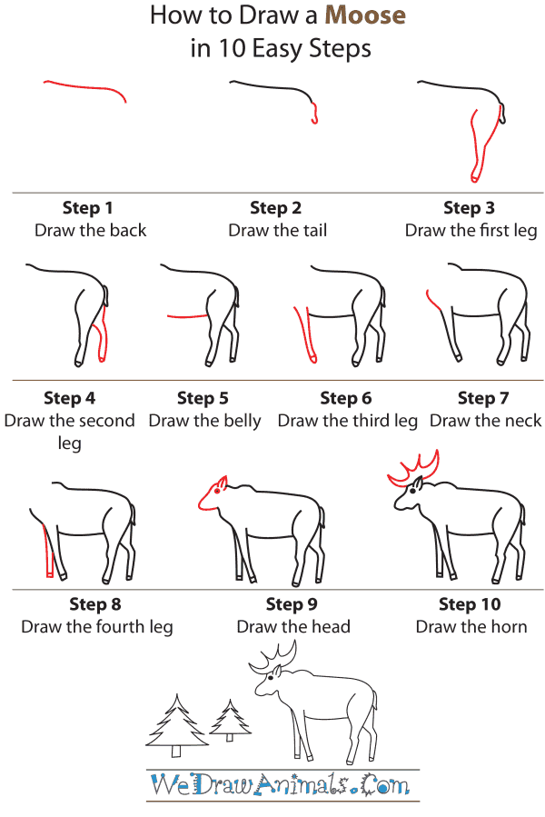How To Draw A Moose - Step-by-Step Tutorial