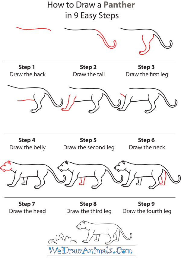 How To Draw A Panther - Step-by-Step Tutorial