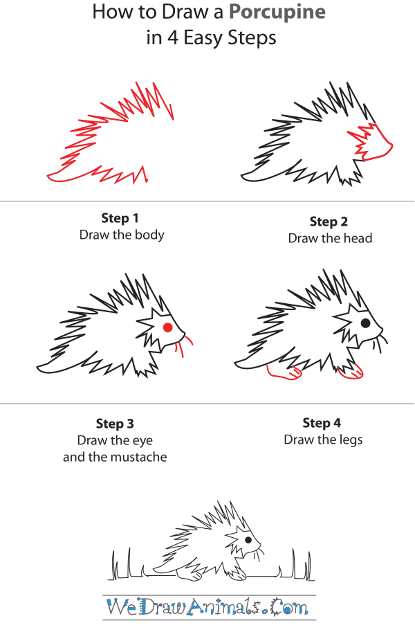 How To Draw A Porcupine - Step-by-Step Tutorial