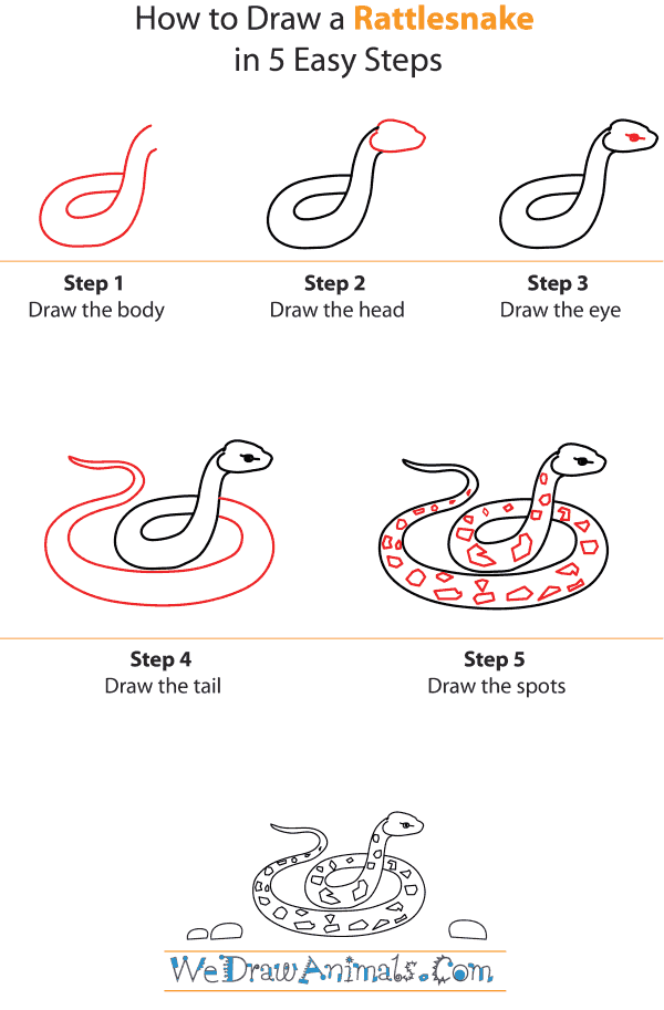 How To Draw A Rattlesnake - Step-by-Step Tutorial
