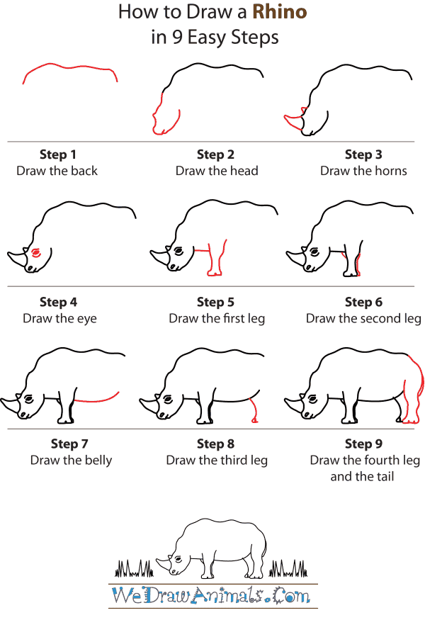 How To Draw A Rhino - Step-by-Step Tutorial