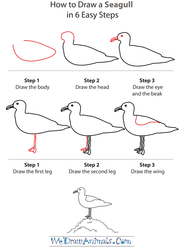 How To Draw A Seagull - Step-by-Step Tutorial