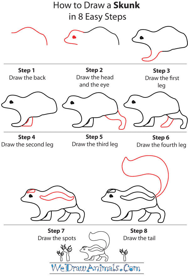 How To Draw A Skunk - Step-by-Step Tutorial