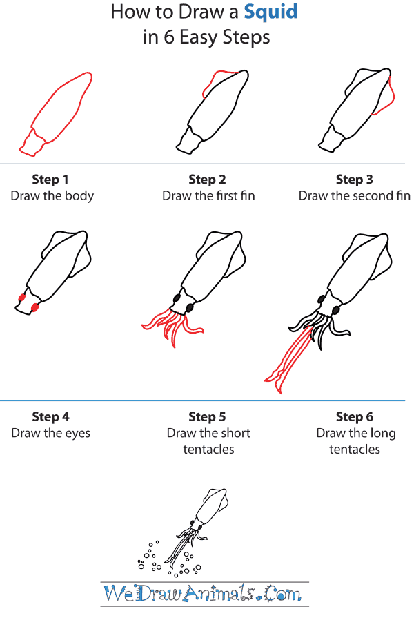 How To Draw A Squid - Step-by-Step Tutorial