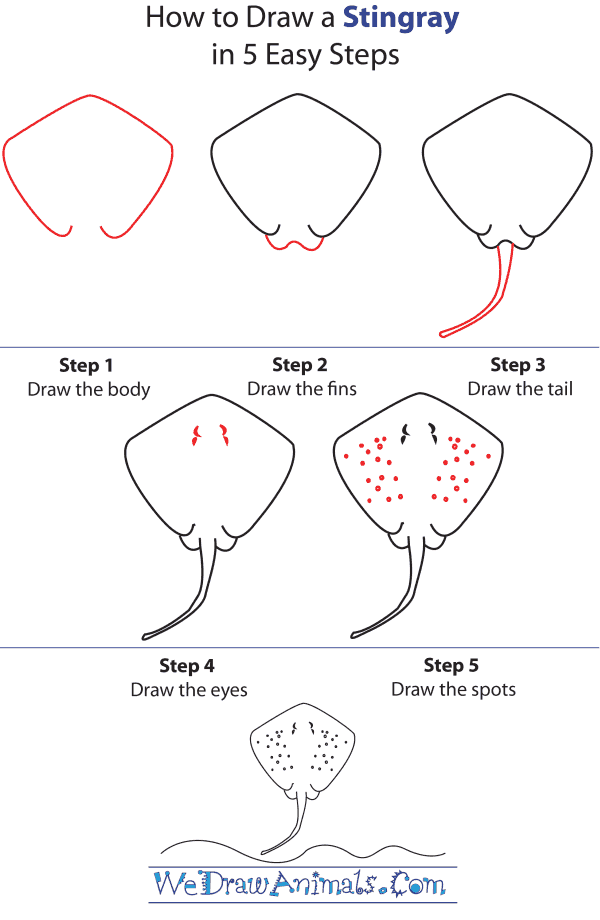 How To Draw A Stingray - Step-by-Step Tutorial