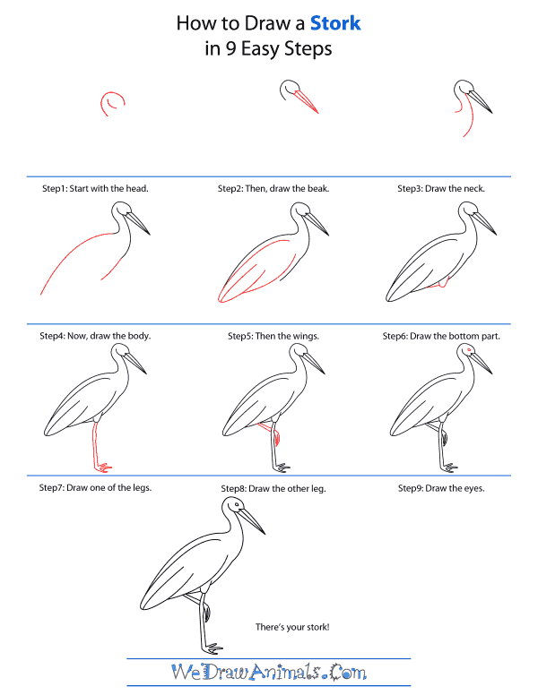 How To Draw A Stork - Step-by-Step Tutorial