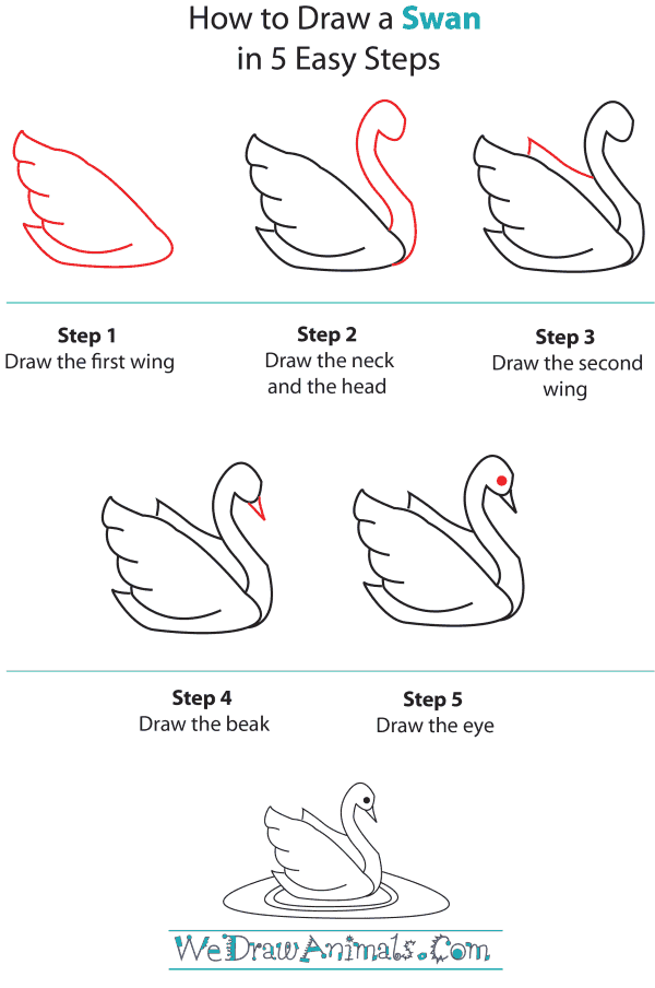 How To Draw A Swan - Step-by-Step Tutorial